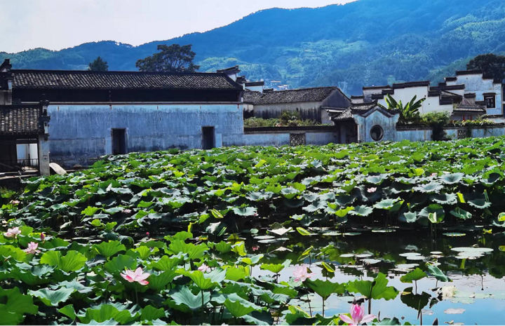 呈坎村村景图